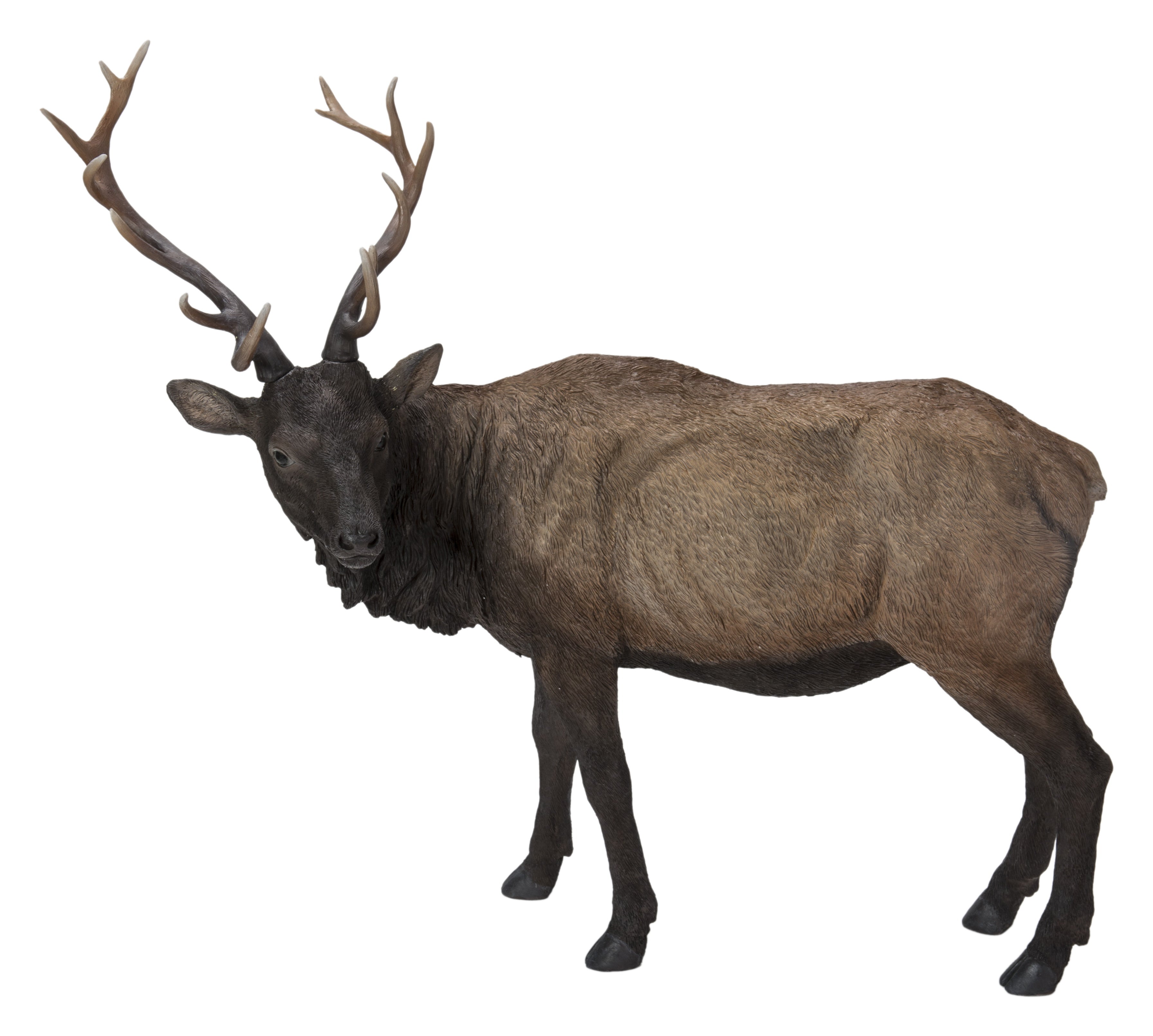 North American Elk Statue – Hi-Line Wholesale CA