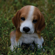 Load image into Gallery viewer, Beagle Puppy