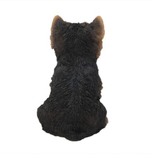 Load image into Gallery viewer, Yorkshire Terrier Puppy