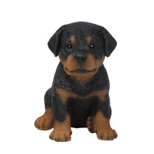 Load image into Gallery viewer, Rottweiler Puppy