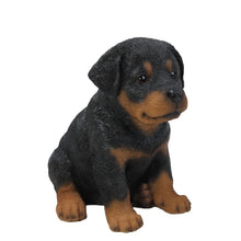 Load image into Gallery viewer, Rottweiler Puppy