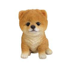 Load image into Gallery viewer, Pomeranian Puppy