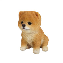 Load image into Gallery viewer, Pomeranian Puppy