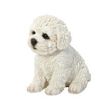 Load image into Gallery viewer, Bichon Frise Puppy