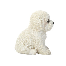 Load image into Gallery viewer, Bichon Frise Puppy