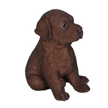 Load image into Gallery viewer, Chocolate Labrador Puppy