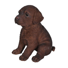 Load image into Gallery viewer, Chocolate Labrador Puppy