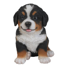 Load image into Gallery viewer, Bernese Mountain Dog Puppy