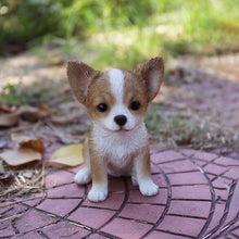 Load image into Gallery viewer, Brown & White Chihuahua Puppy