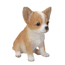 Load image into Gallery viewer, Brown & White Chihuahua Puppy