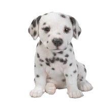 Load image into Gallery viewer, Dalmatian Puppy Statue