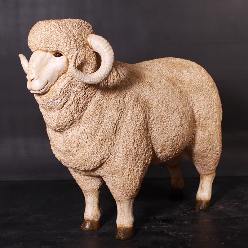 Made to Order: Merino Ram (Not in Aus)