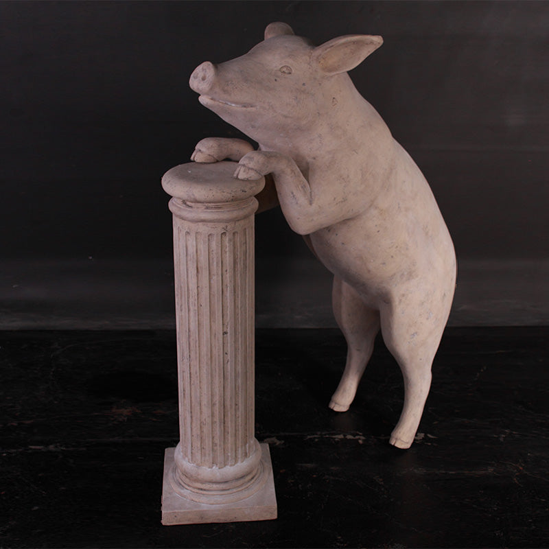 Made to Order: Curious Pig (Not in Aus)