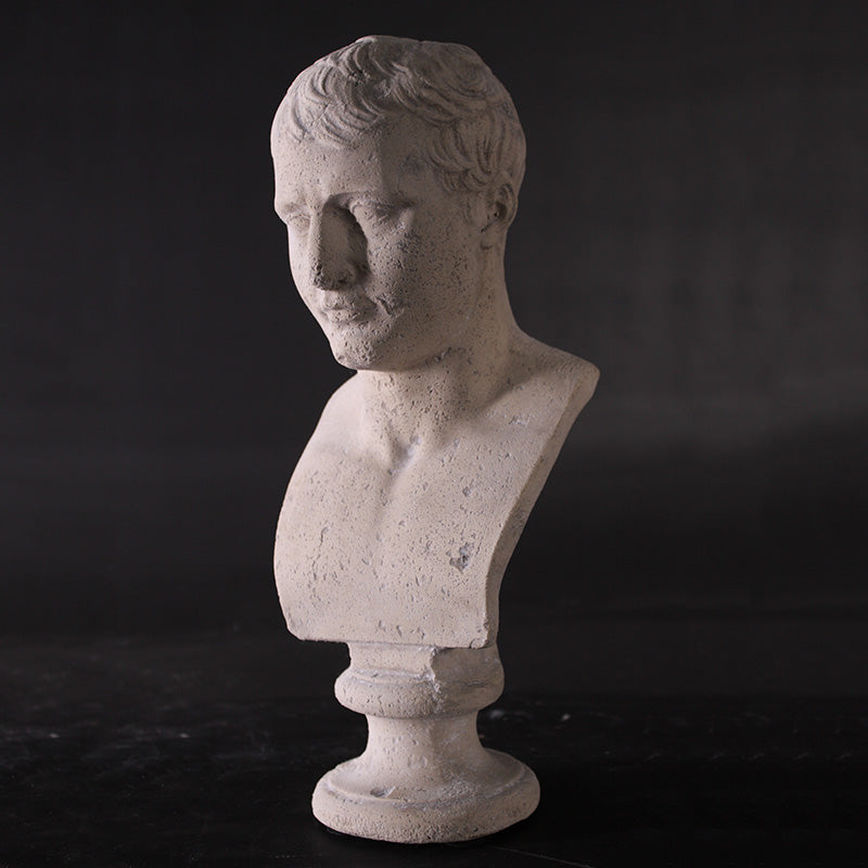 Made to Order: Napoleon Bust-Antonio Canova