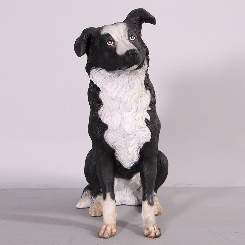 Made to Order: Border Collie (Not in Aus)