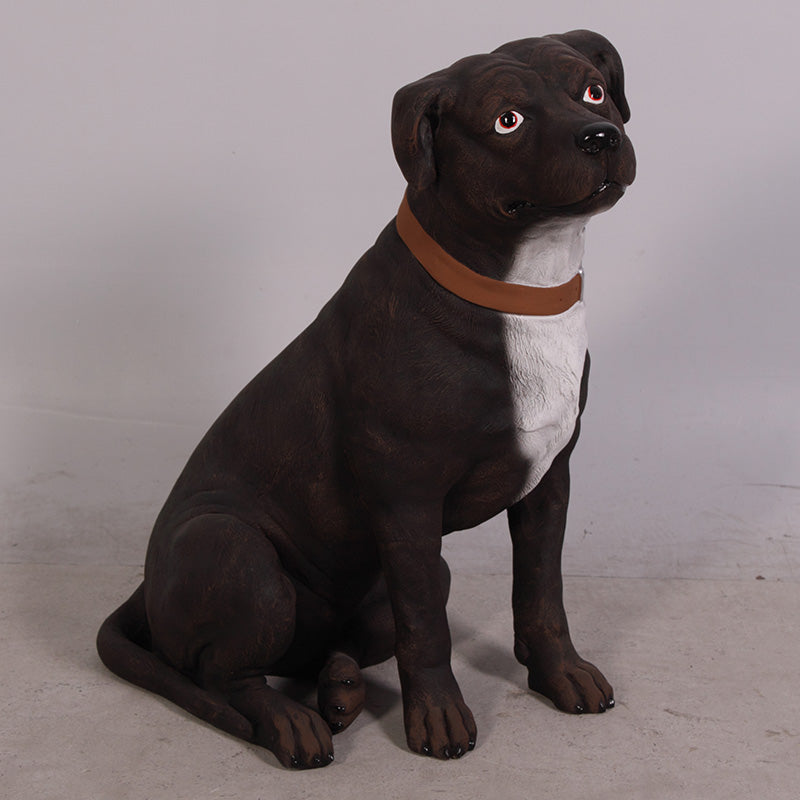 Made to Order: Staffordshire Terrier (Not in Aus)