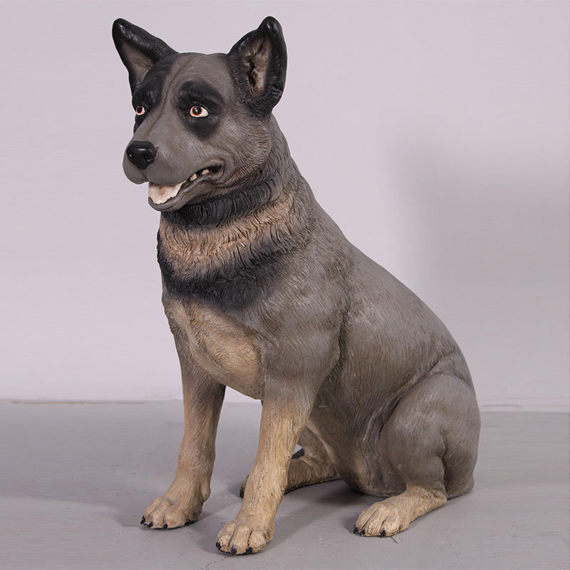 Made to Order: Blue Heeler (Not in Aus)