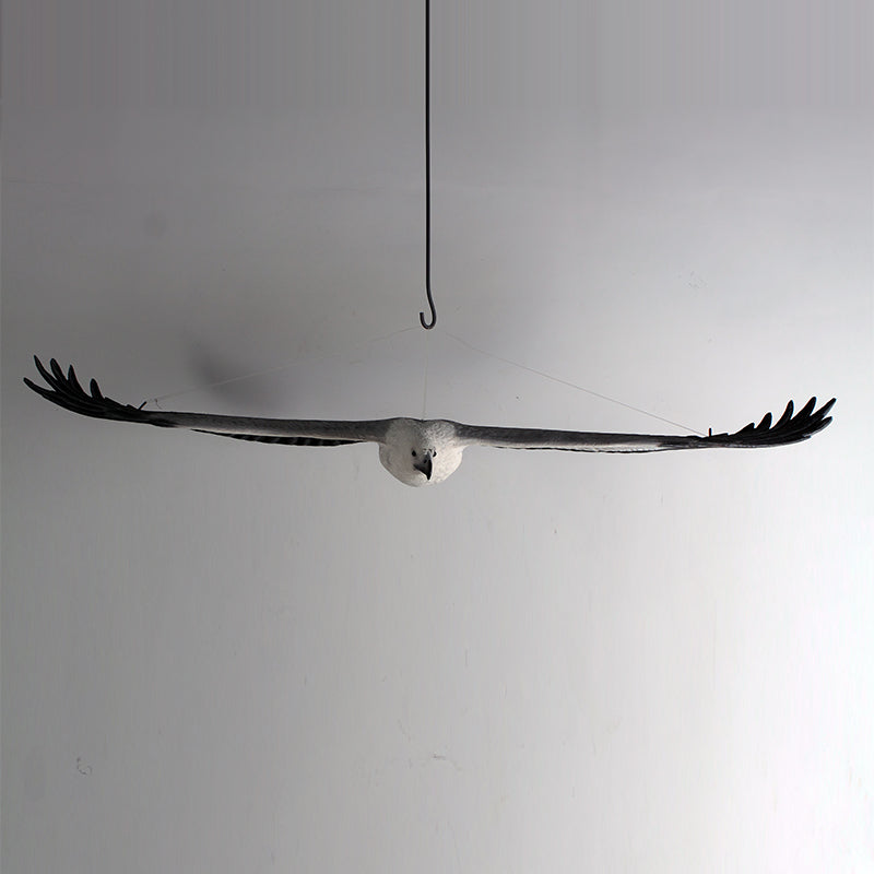 Made to Order: White Breasted Sea-Eagle - Flying (Not in Aus)