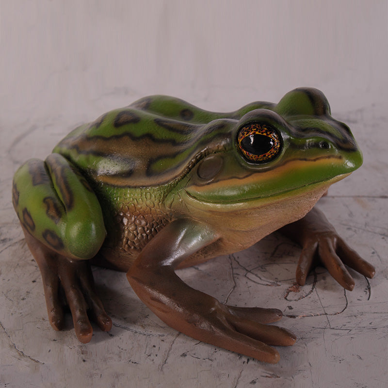 Made to Order: Green and Golden Bell Frog (Not in Aus)