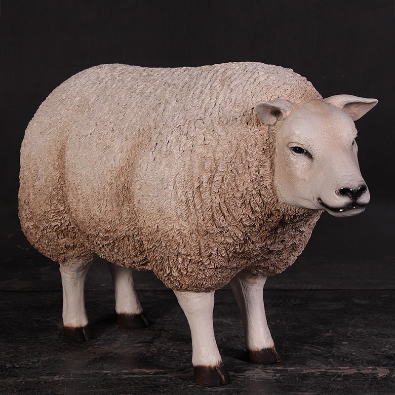 Made to Order: Texelaar - Head Up