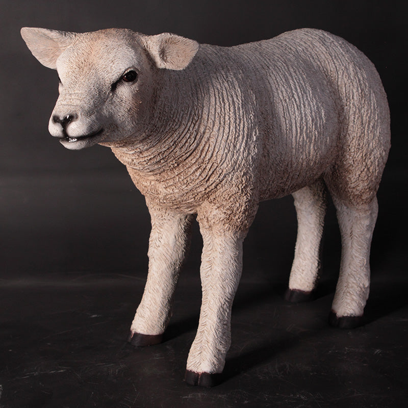 Made to Order: Texelaar Lamb