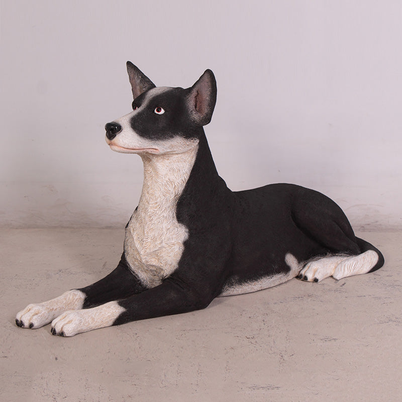 Made to Order: Kelpie Lying Down (not in AUS)