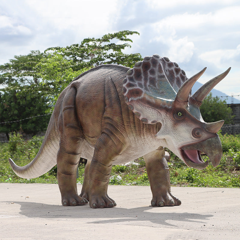 Made to Order: Triceratops