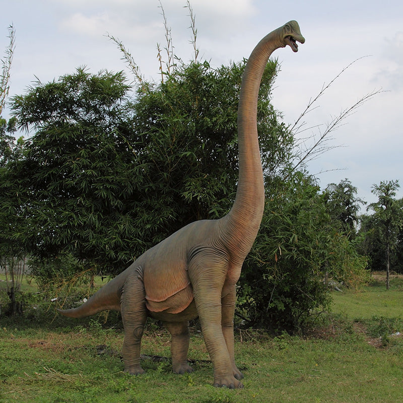 Made to Order: Brachiosaurus