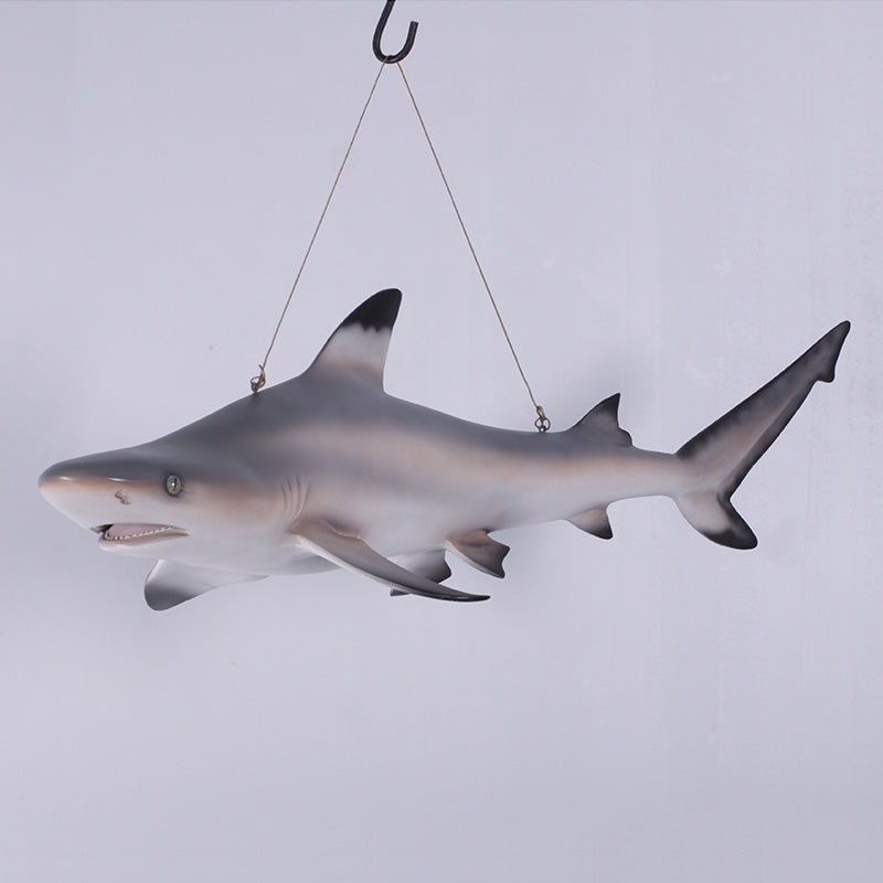 Made to Order: Black Tip Reef Shark (Not in Aus)