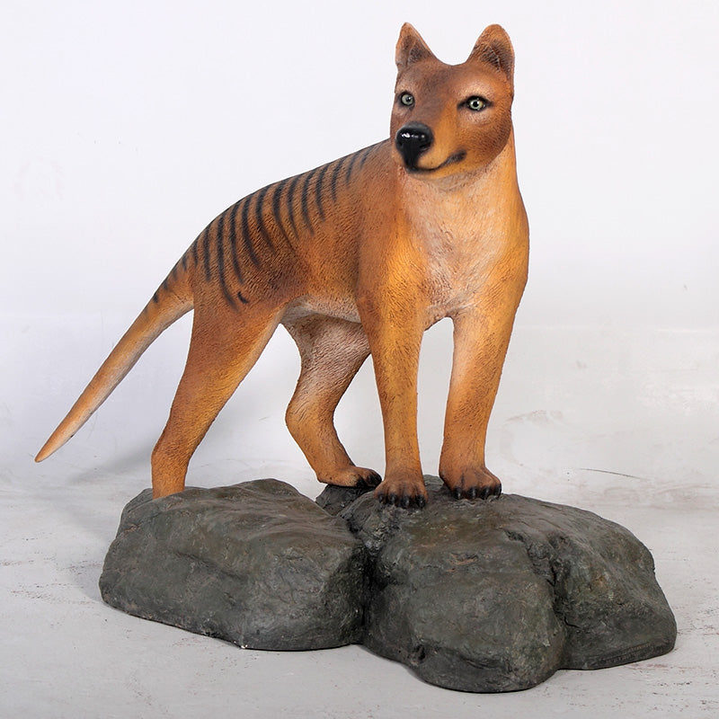 Made to Order: Tasmanian Tiger (Not in Aus)