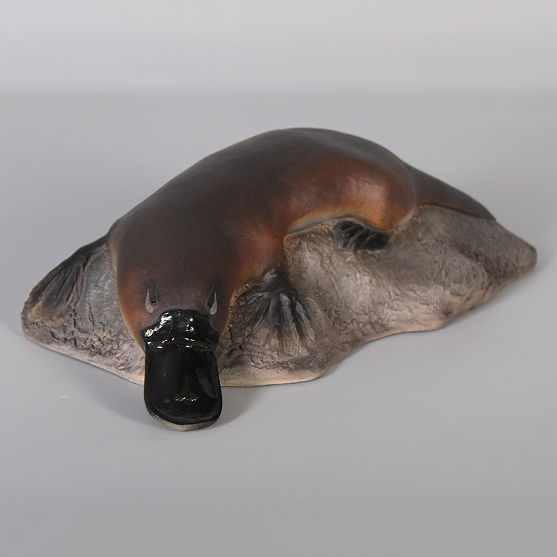 Made to Order: Small Platypus on Rock