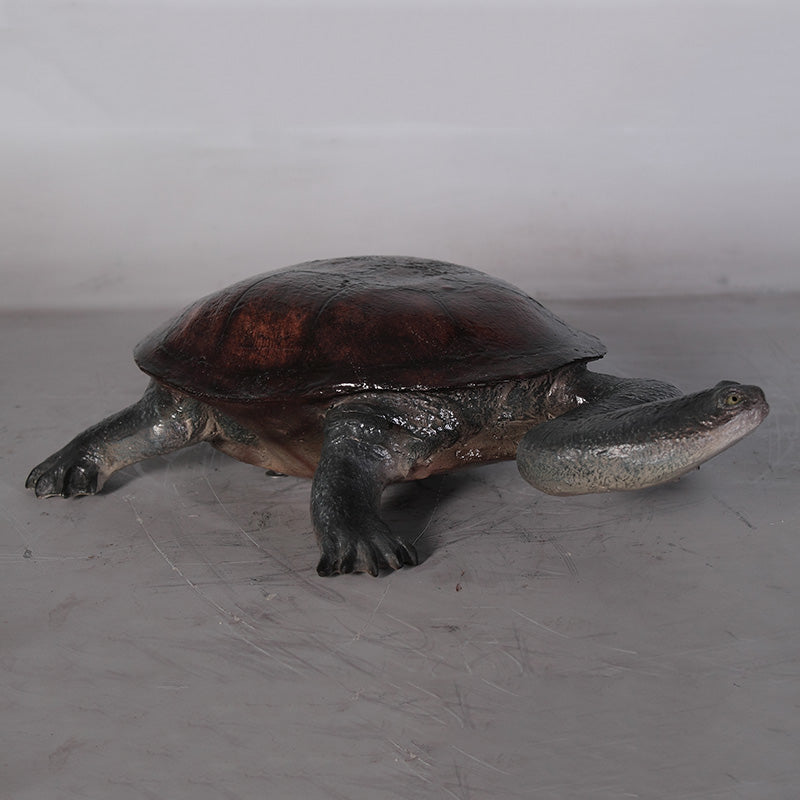 Made to Order: Long-neck Turtle