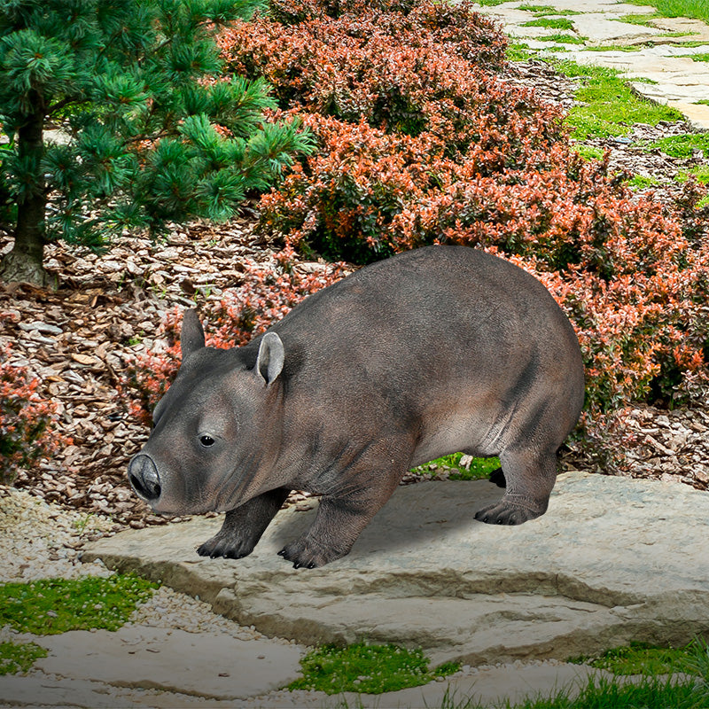 Made to Order: Hairy Nosed Wombat (Not in AUS)