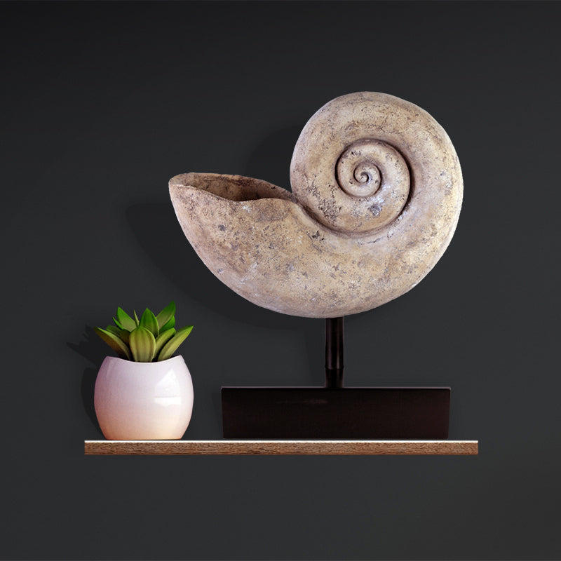 PH Studio: Nautilus Shell Large - MOQ 5