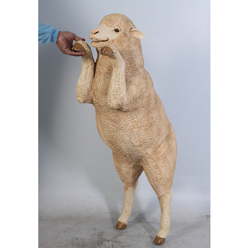 Made to Order: Curious Merino Ewe (not in AUS / Benelux)