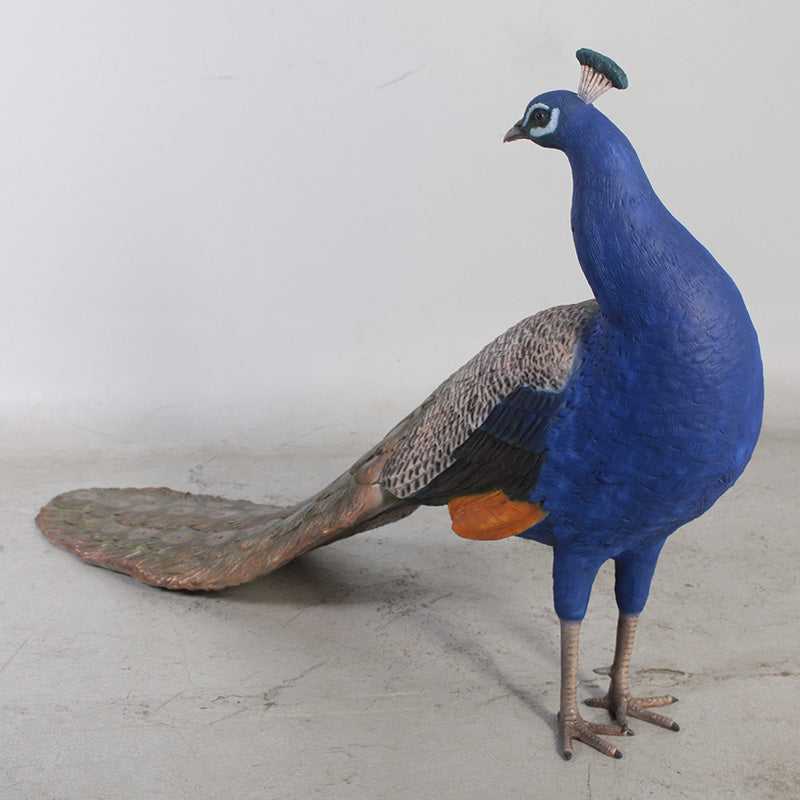 Made to Order: Peacock
