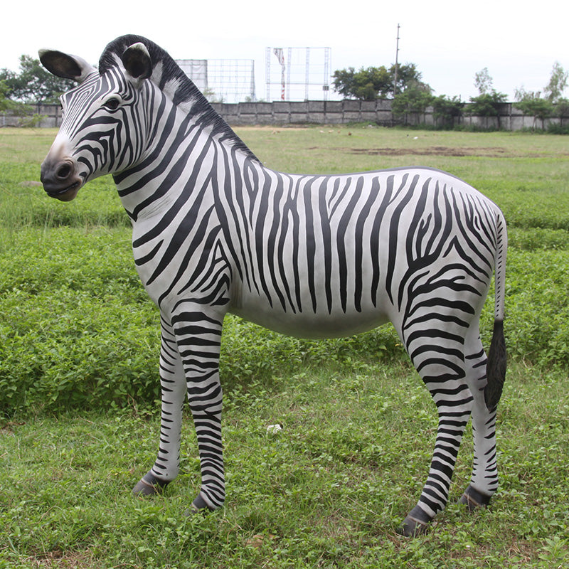 Made to Order: Zebra
