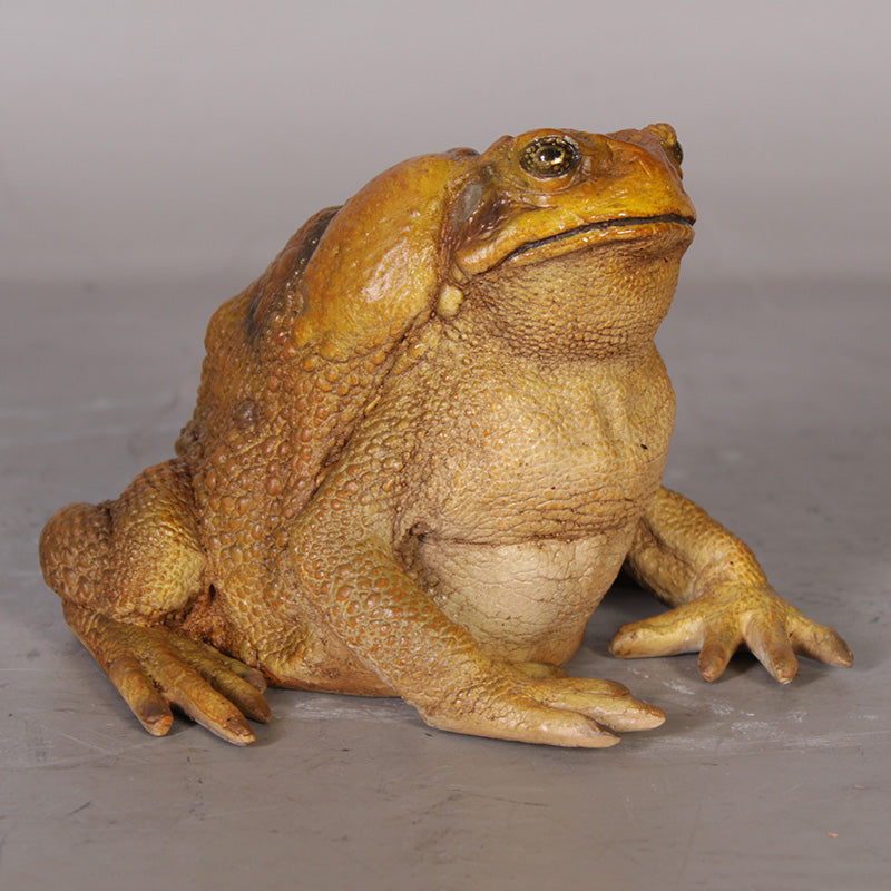 Made to Order: Cane Toad (not in AUS)