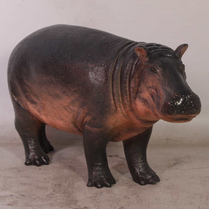 Made to Order: Baby Hippopotamus