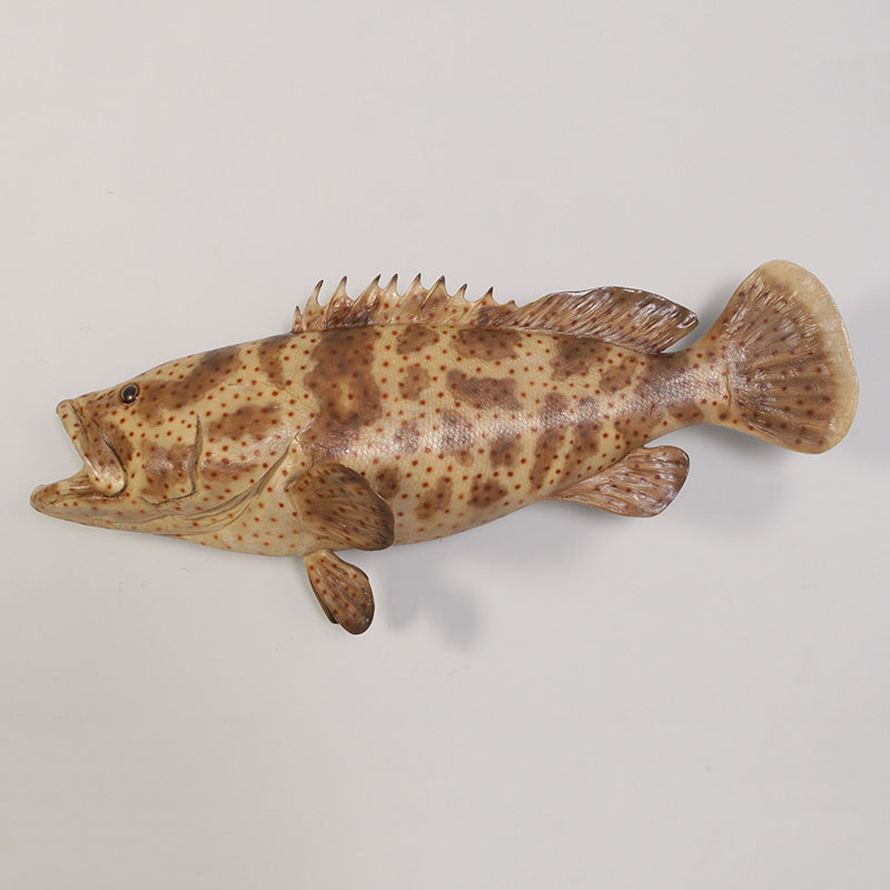 PH Studio: Estuary Cod - MOQ 3
