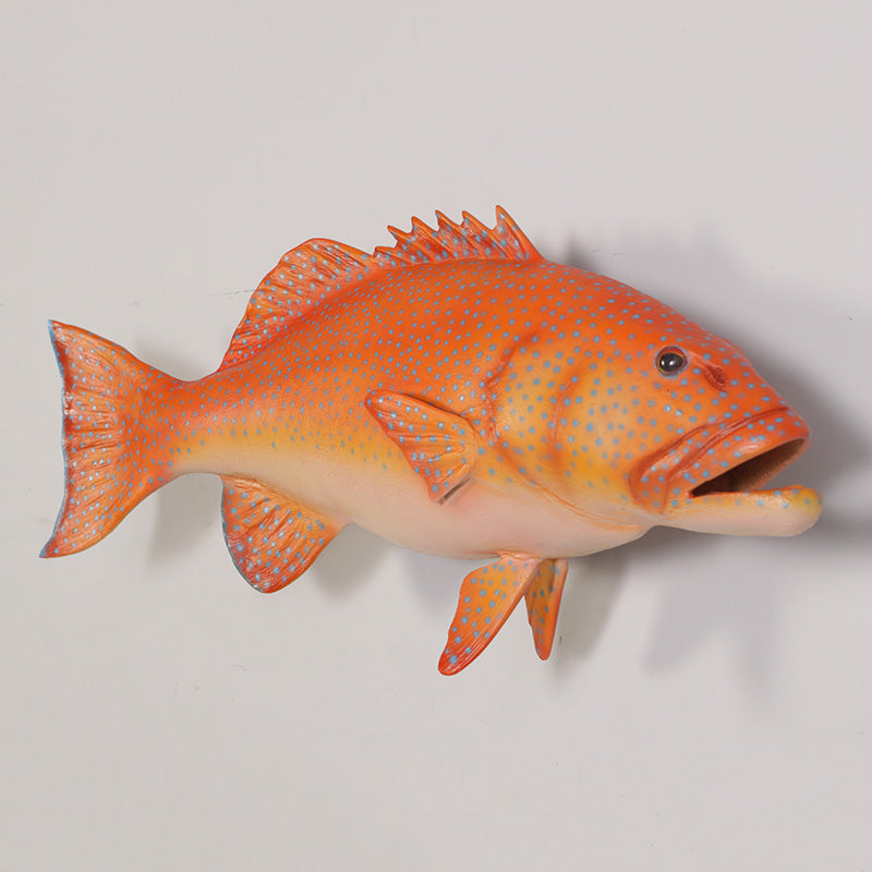 PH Studio: Coral Trout - MOQ 5