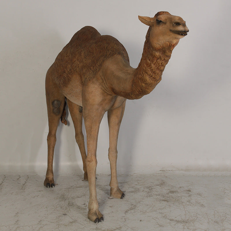 Made to Order: Dromedary Camel (Not in AUS)
