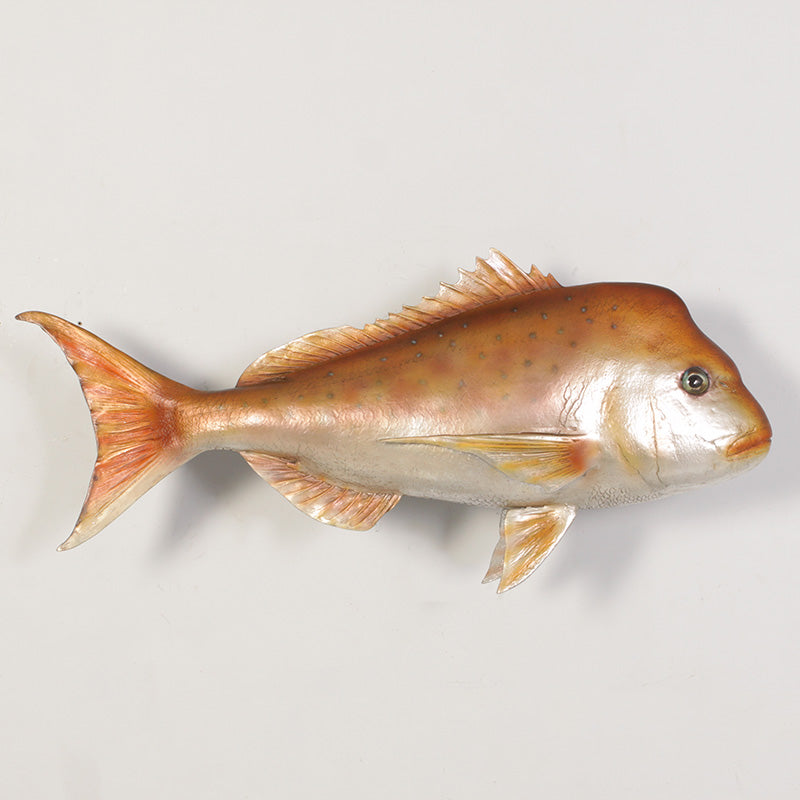 PH Studio: Snapper - MOQ 3