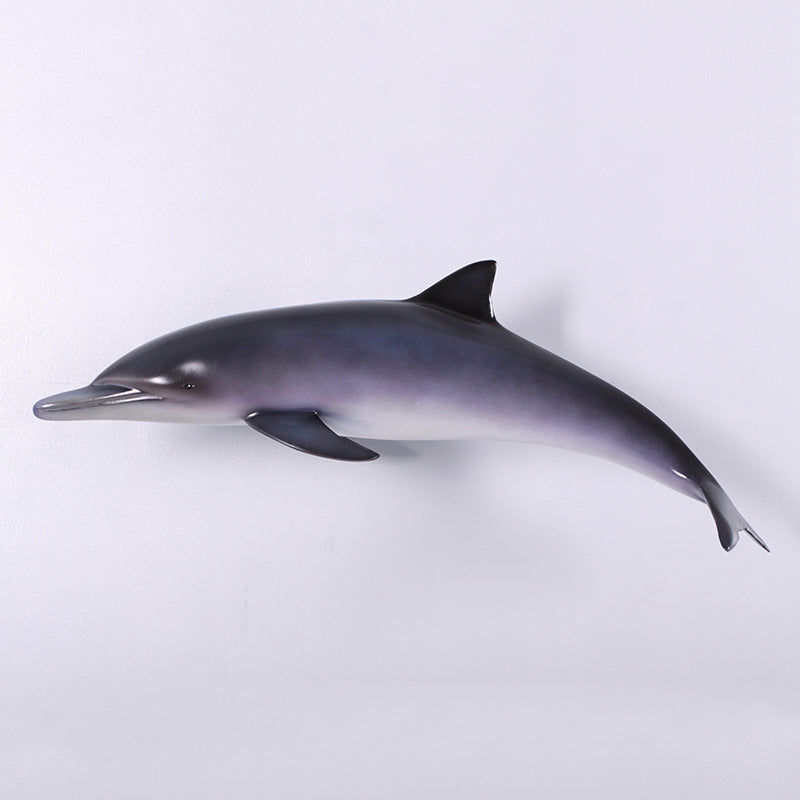 Made to Order: Dolphin