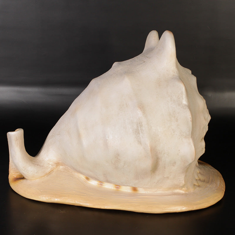 Made to Order: Helmet Shell