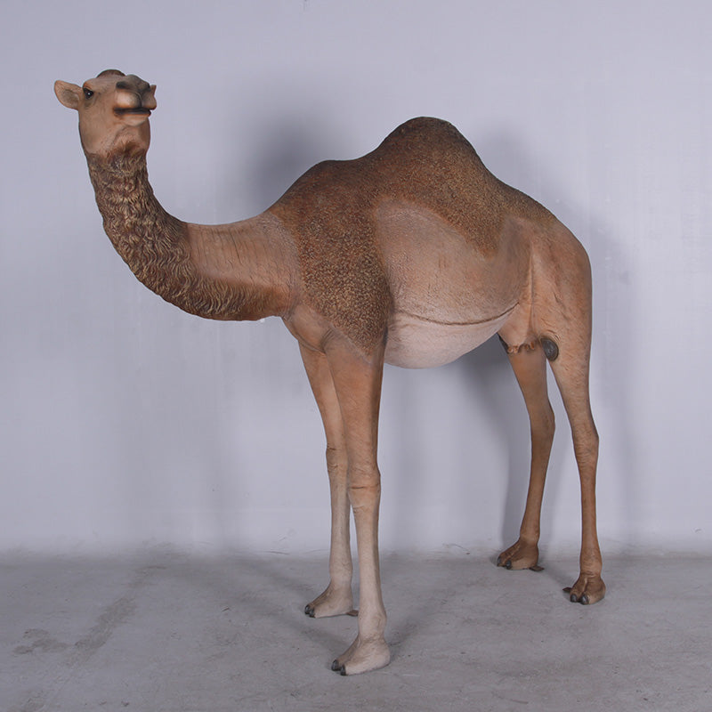 Made to Order: Dromedary Camel - Female (not in Aus)
