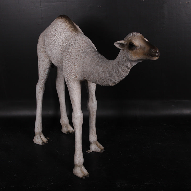 Made to Order: Dromedary Camel Calf (not in Aus)