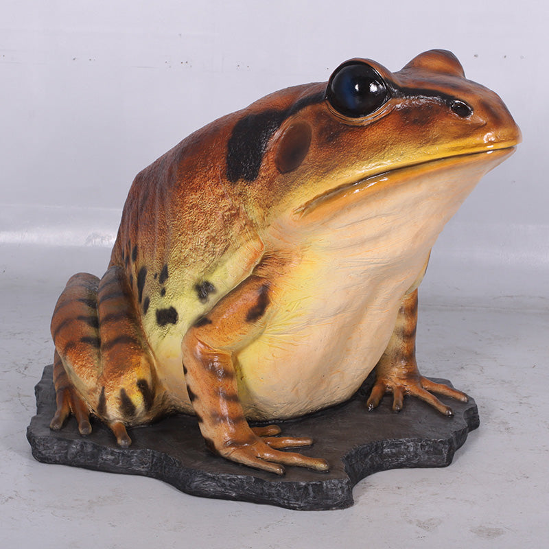 Made to Order: Great Barred Frog (not in Aus)