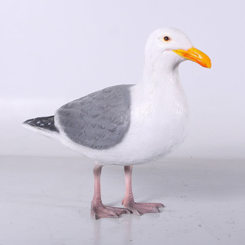Made to Order: Seagull