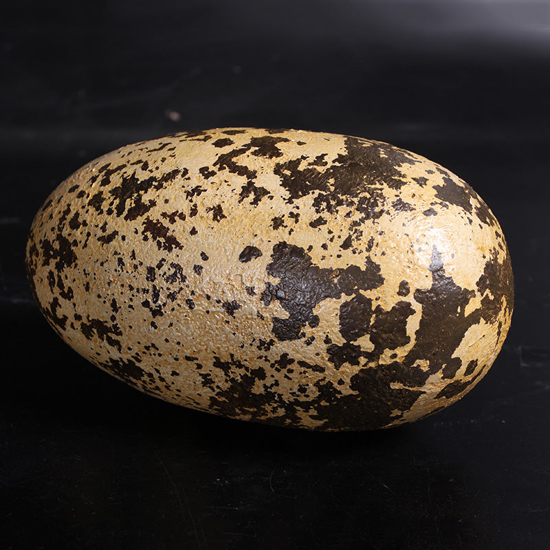 Made to Order: Theropod Egg 9